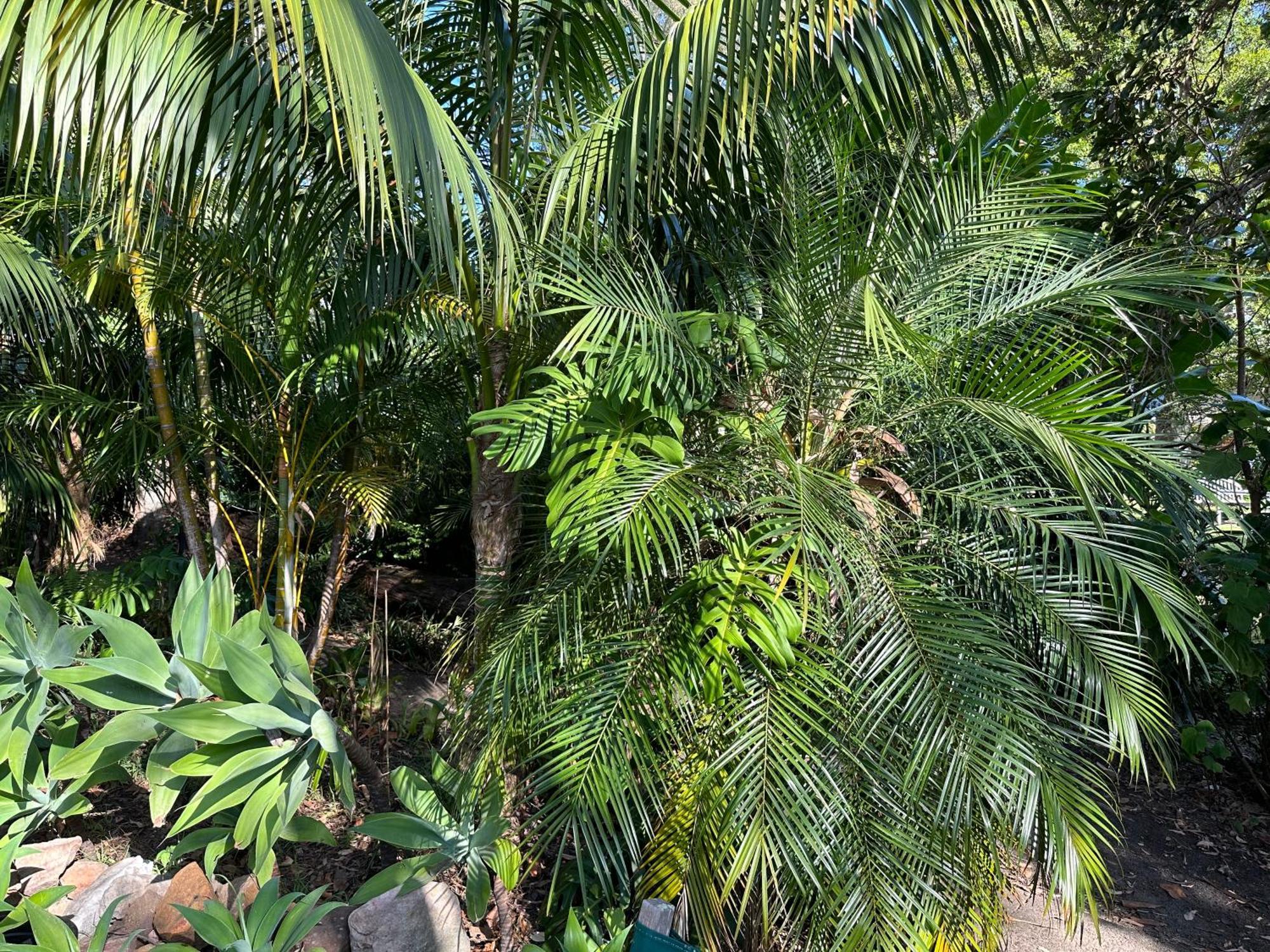 Palm Beach Bed & Breakfast Buitenkant foto