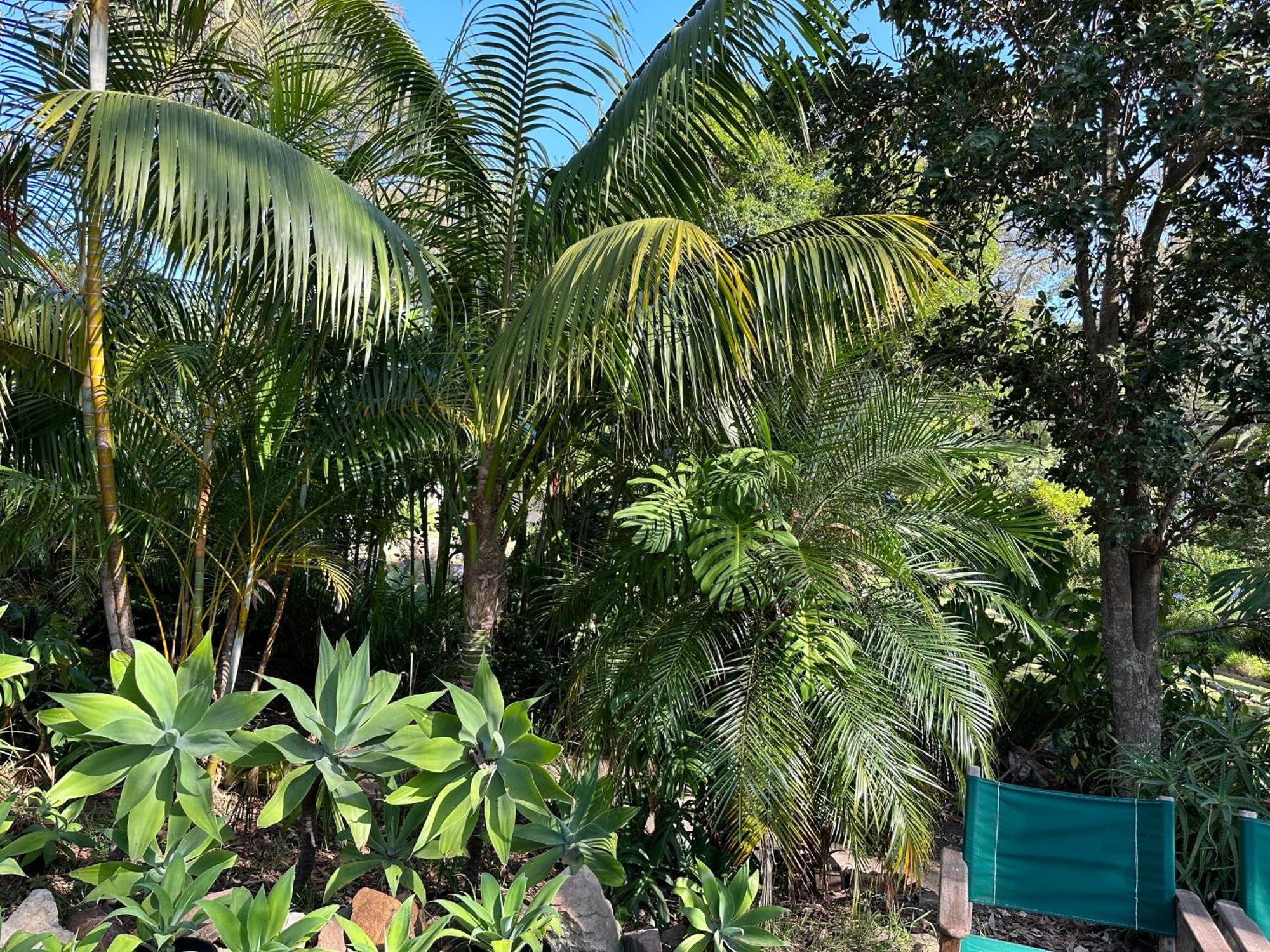 Palm Beach Bed & Breakfast Buitenkant foto